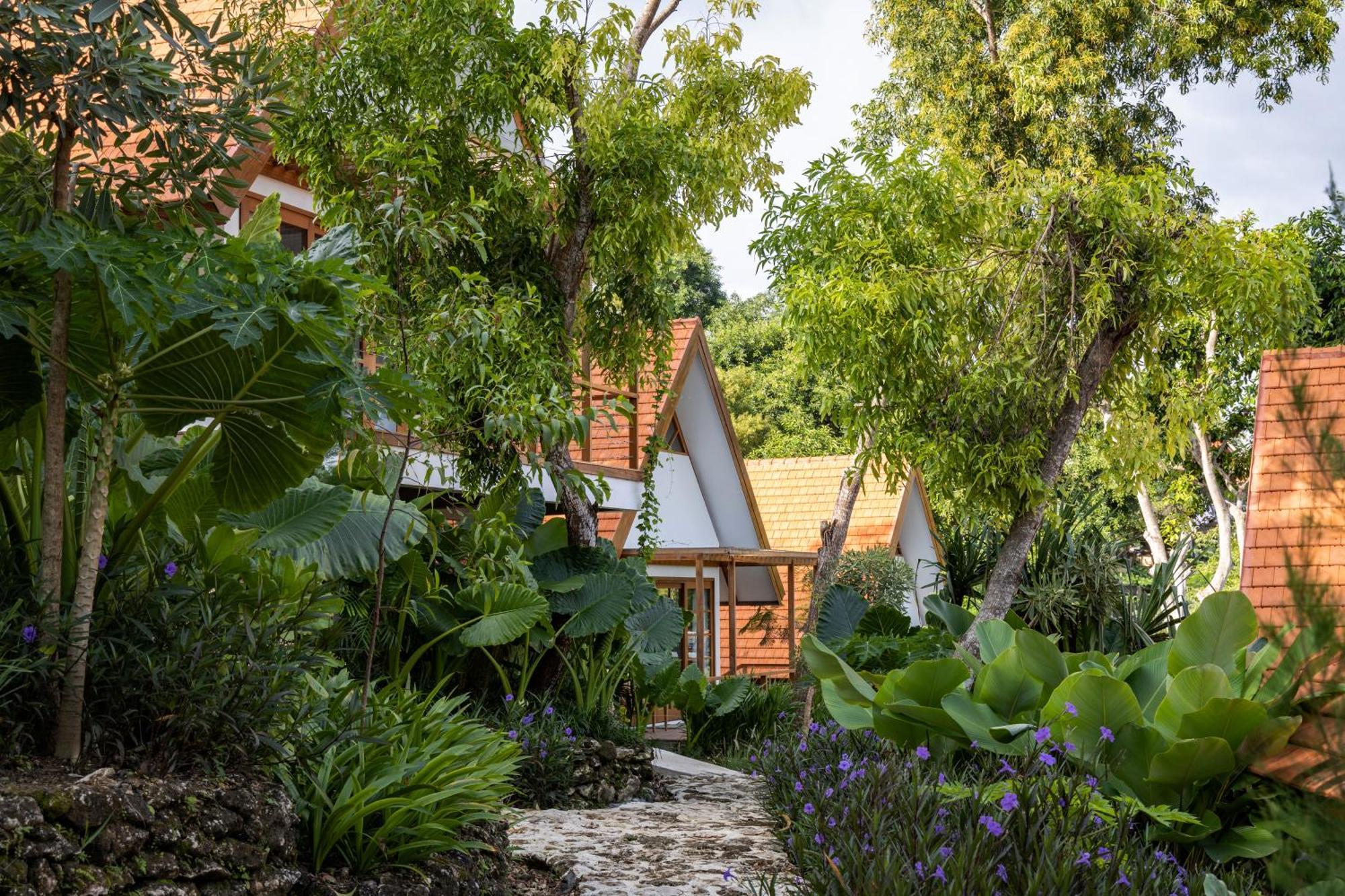 Deep Roots Dive & Yoga Resort Ped 外观 照片