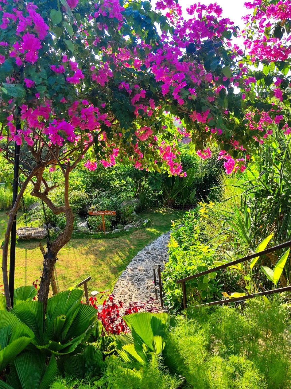 Deep Roots Dive & Yoga Resort Ped 外观 照片