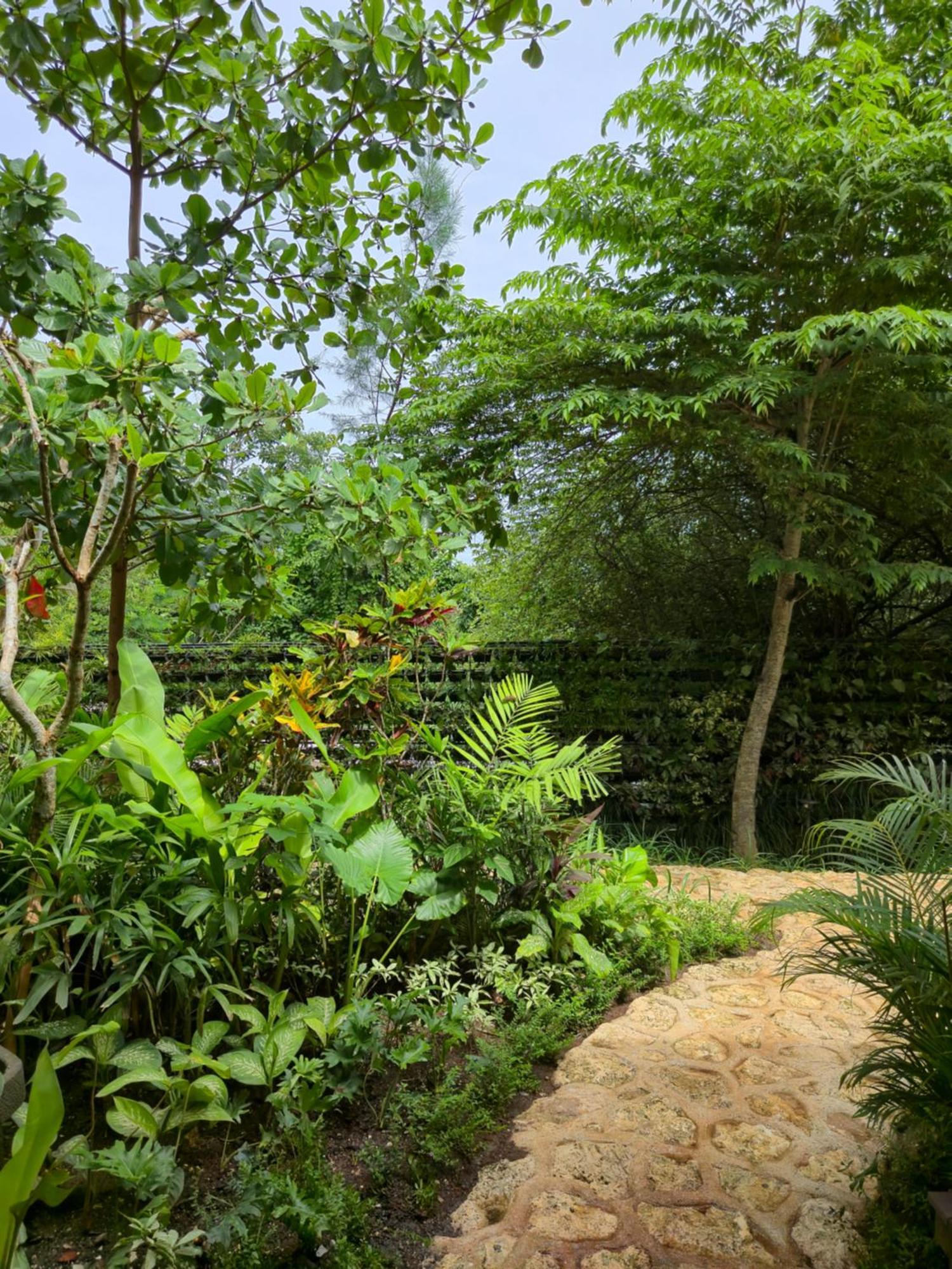 Deep Roots Dive & Yoga Resort Ped 外观 照片