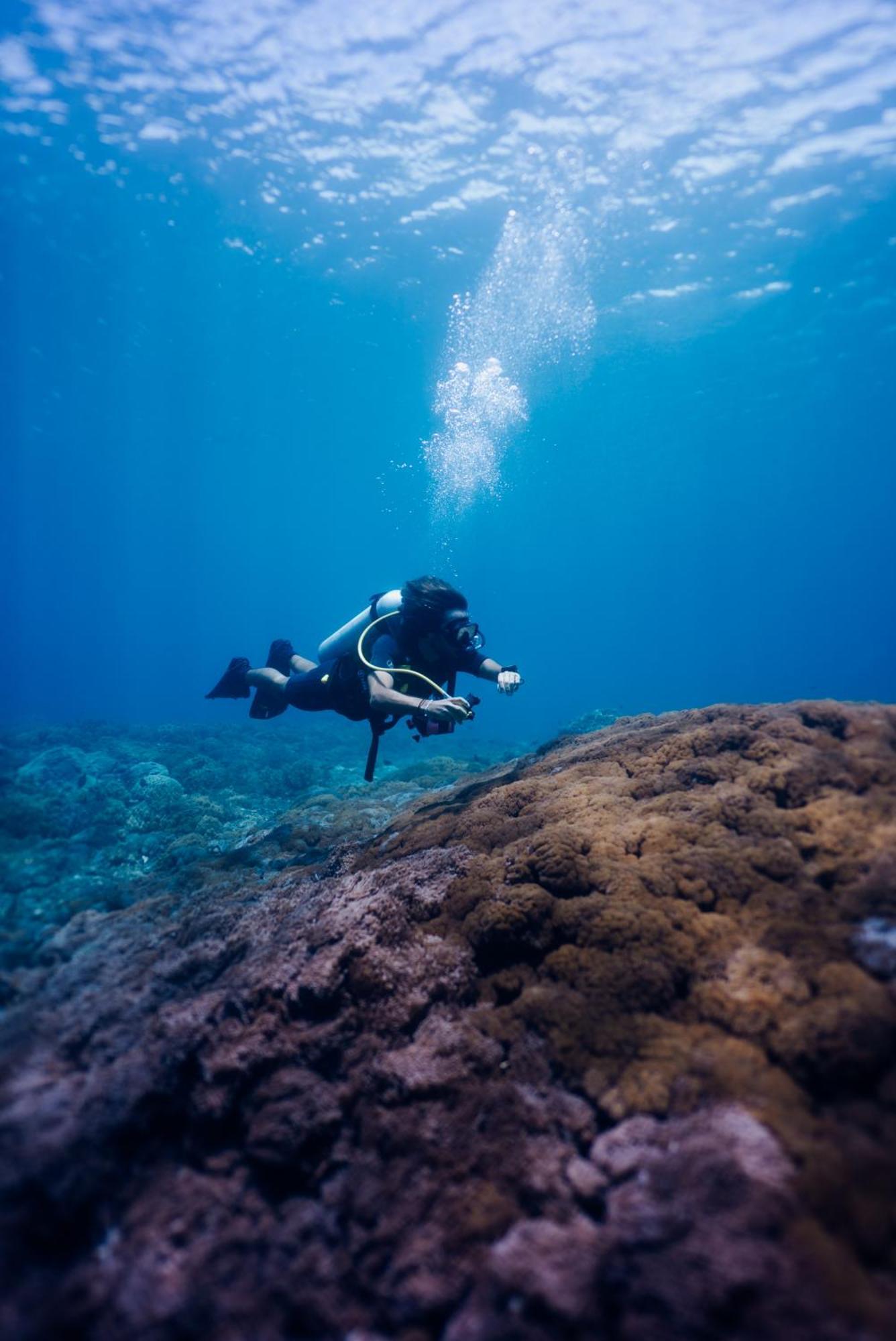 Deep Roots Dive & Yoga Resort Ped 外观 照片
